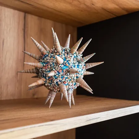 Spacious & Modern Apartments- Old Town 아파트