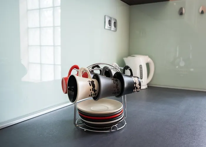 Spacious & Modern Apartments- Old Town Sarajevo